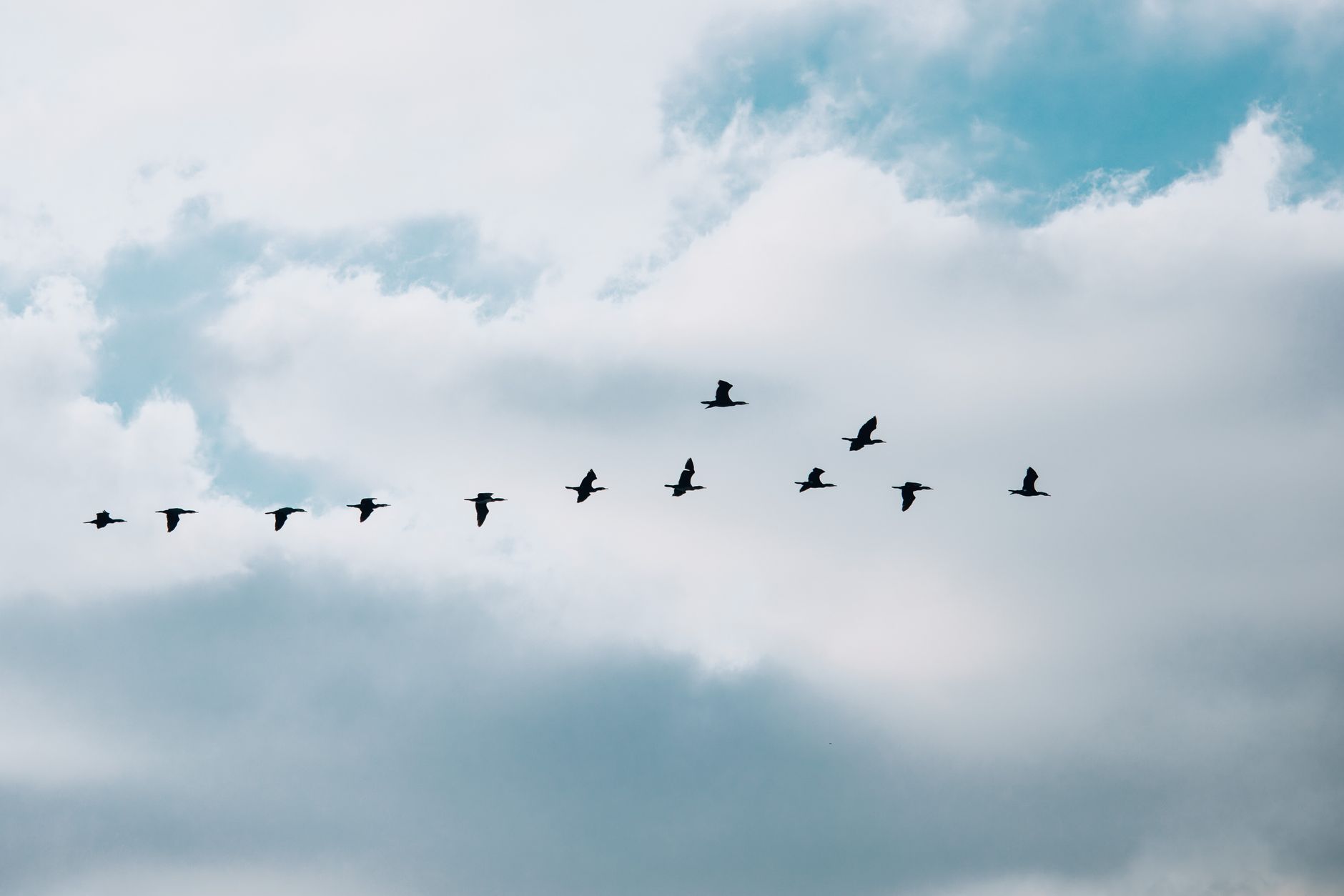 Cloud Identity migration